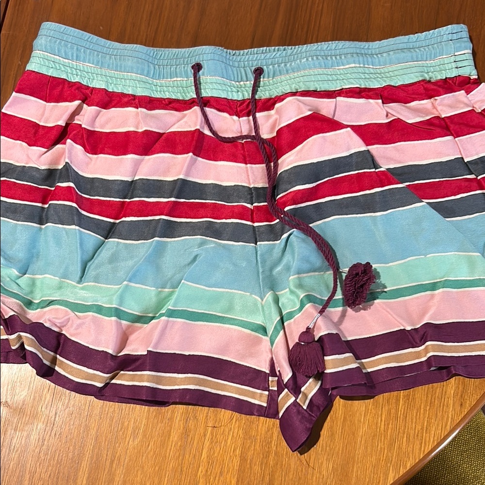 Striped Multicolor Loft Shorts